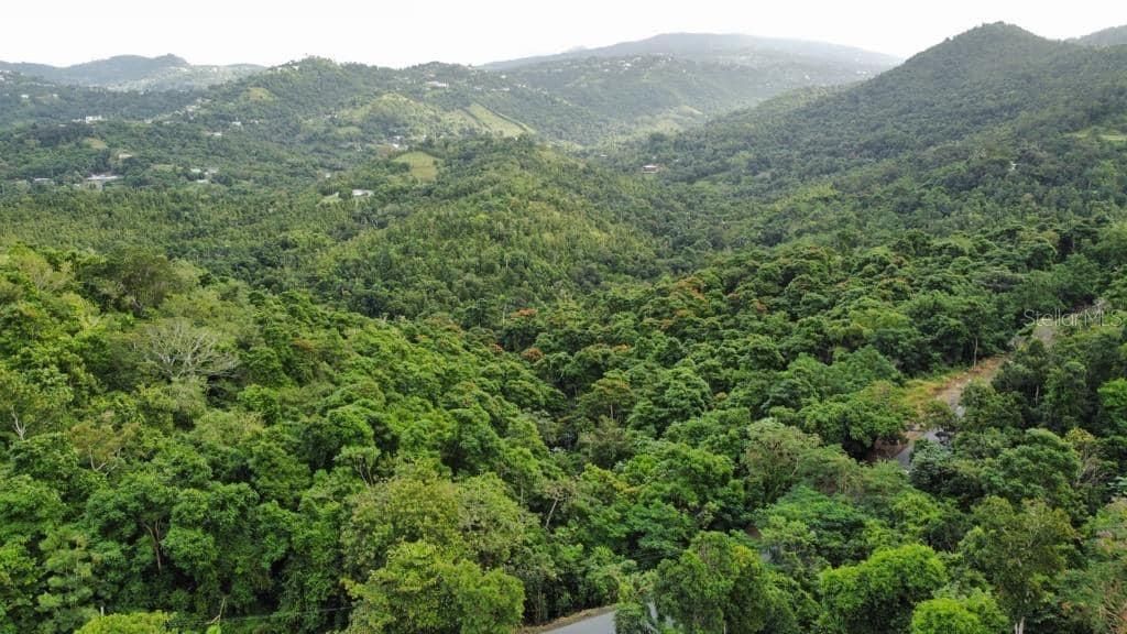 For Sale: $250,000 (15.99 acres)