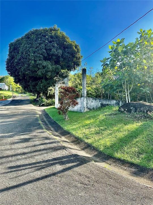 For Sale: $250,000 (15.99 acres)