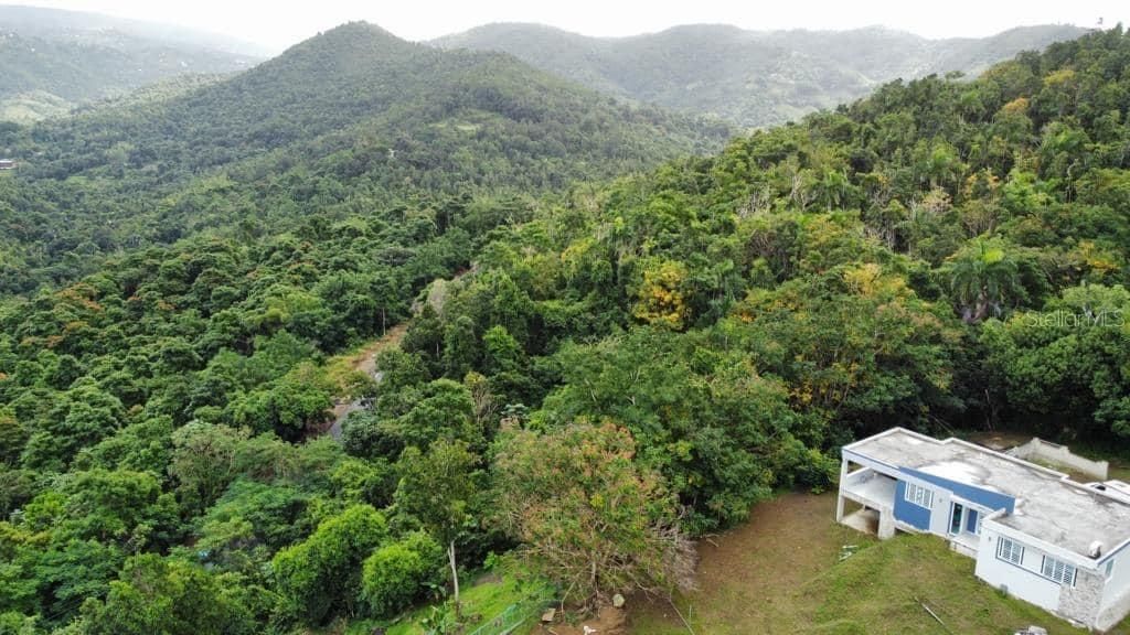 For Sale: $250,000 (15.99 acres)