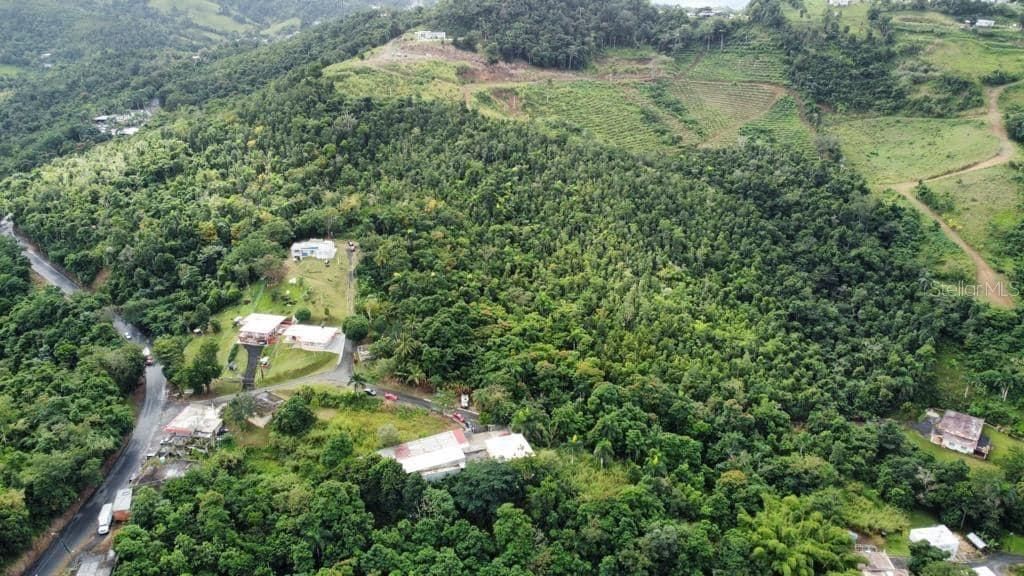 For Sale: $250,000 (15.99 acres)