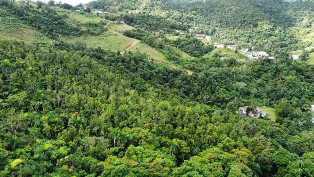 For Sale: $250,000 (15.99 acres)