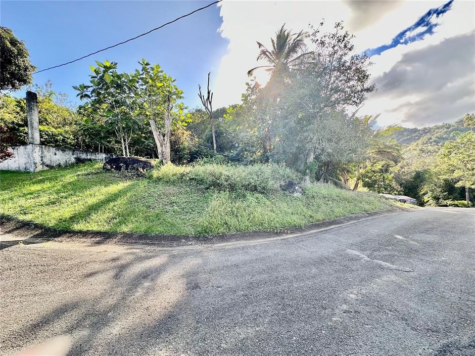 For Sale: $250,000 (15.99 acres)