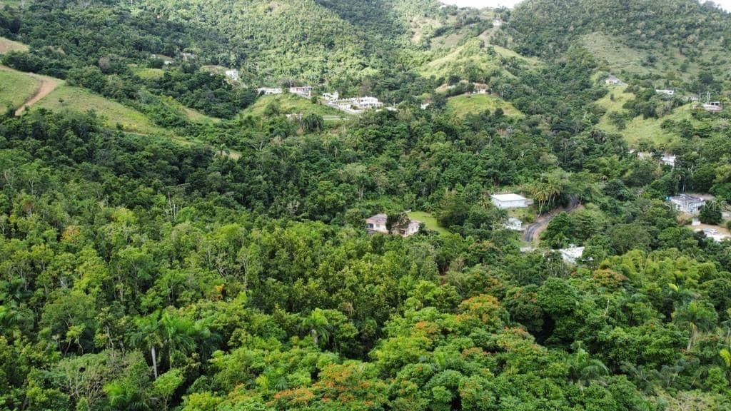 For Sale: $250,000 (15.99 acres)