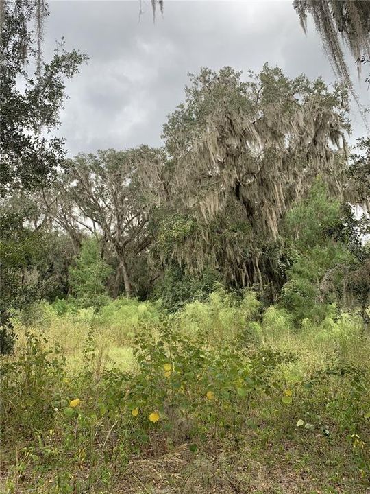 На продажу: $1,200,000 (26.00 acres)