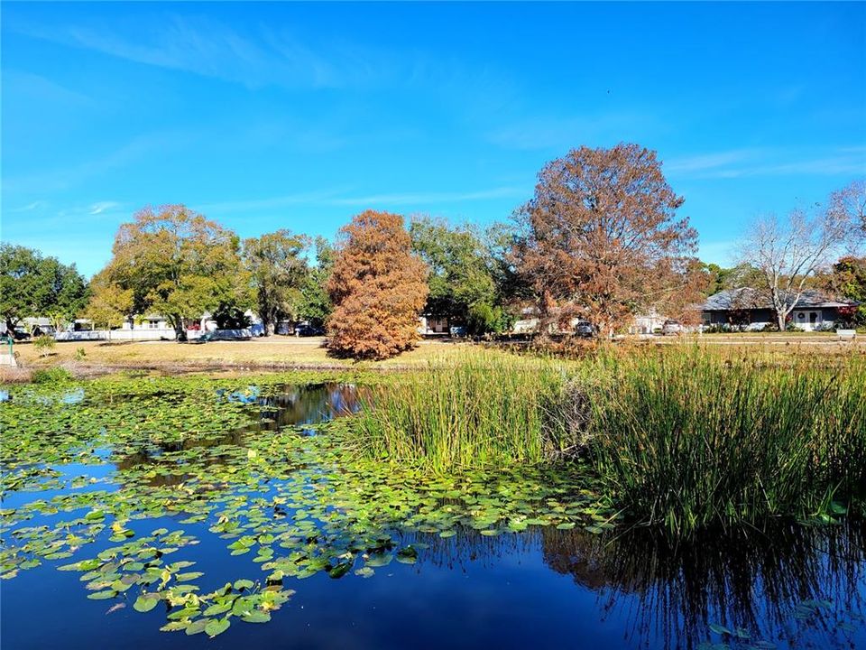 Tomlinson Lake Park