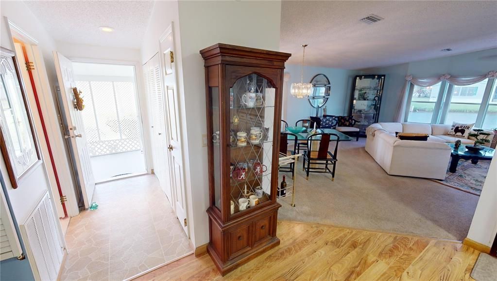 Foyer & living room