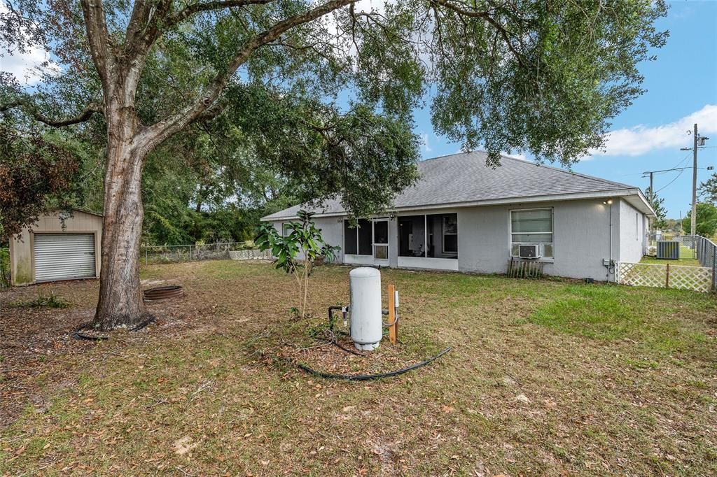 Nice shade tree in backyard