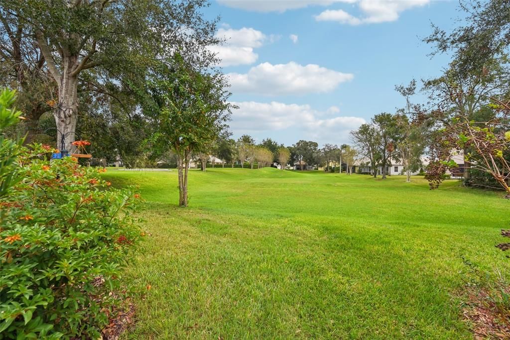 View of expansive green space