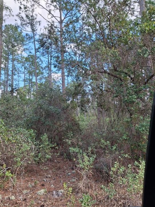 待售: $649,000 (73.00 acres)