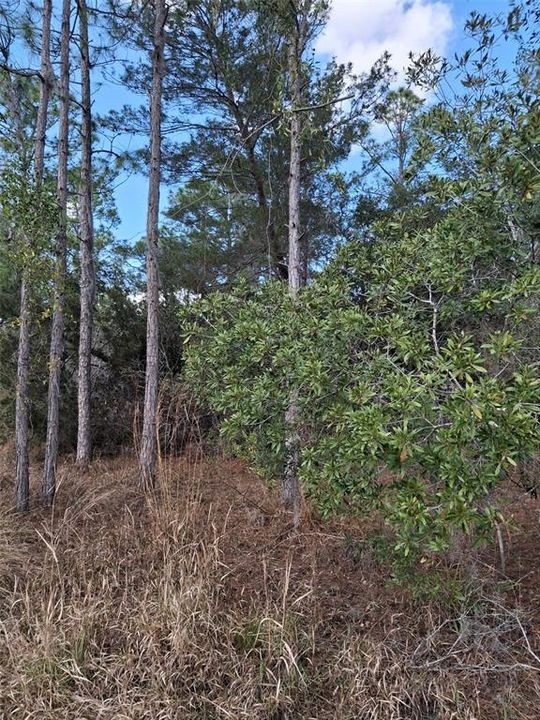 待售: $649,000 (73.00 acres)