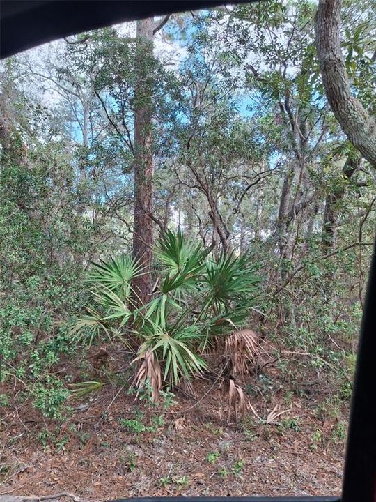 待售: $649,000 (73.00 acres)