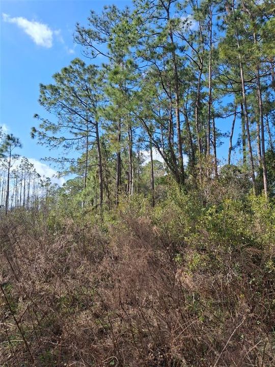 待售: $649,000 (73.00 acres)