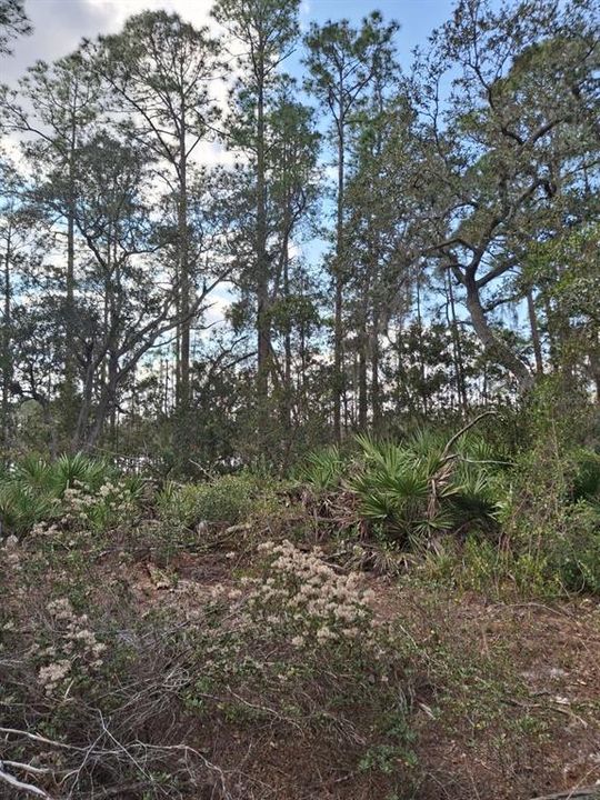 待售: $649,000 (73.00 acres)