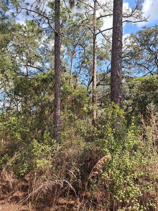 待售: $649,000 (73.00 acres)