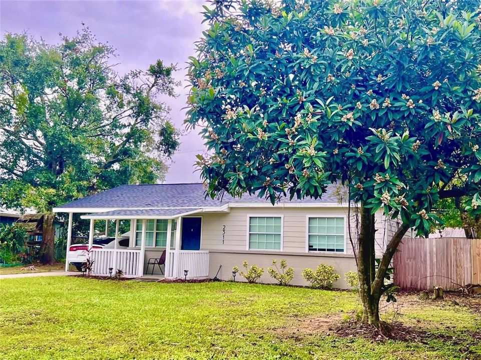 Alternate view of front elevation, front yard, mature landscaping, and carport