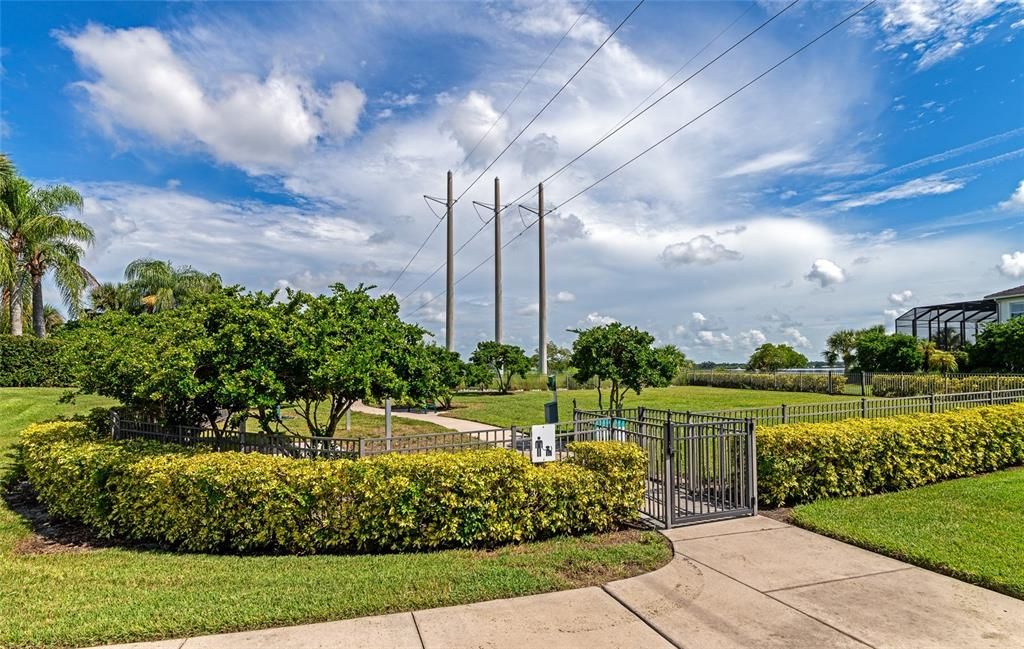 There's even a community dog park for Fido.