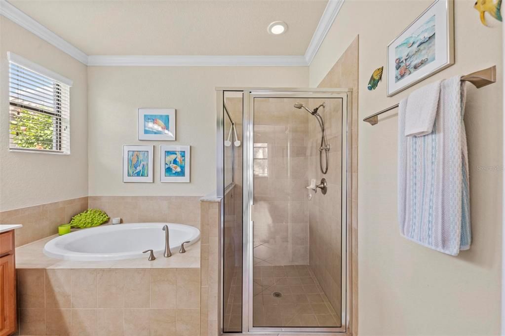 Soaking tub and shower in Owner's suite.