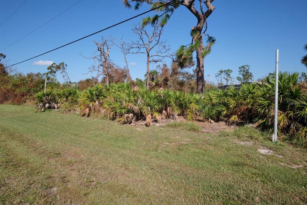 На продажу: $24,000 (0.17 acres)