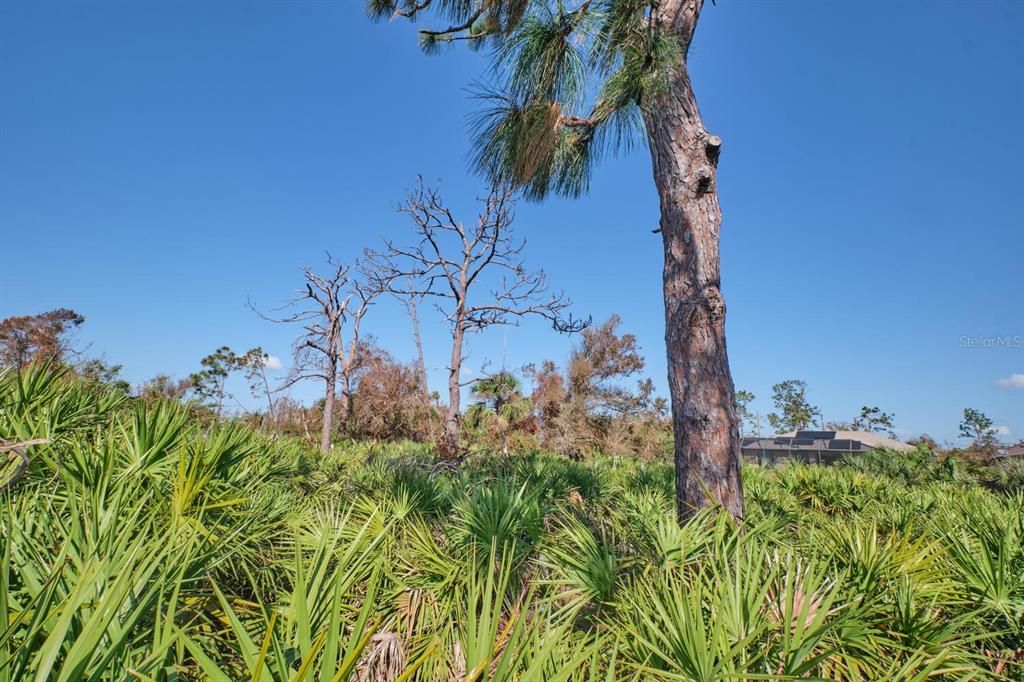 На продажу: $24,000 (0.17 acres)