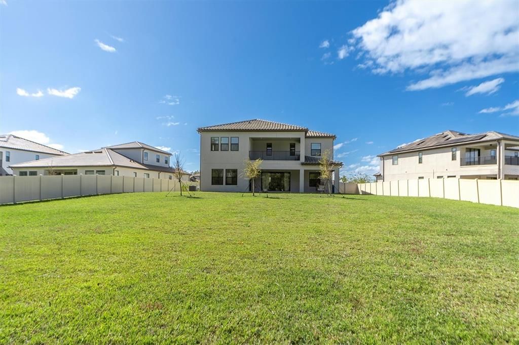 Expansive Backyard