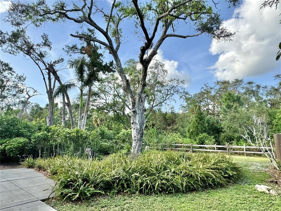 Phillippi Estate Park beyond back fence