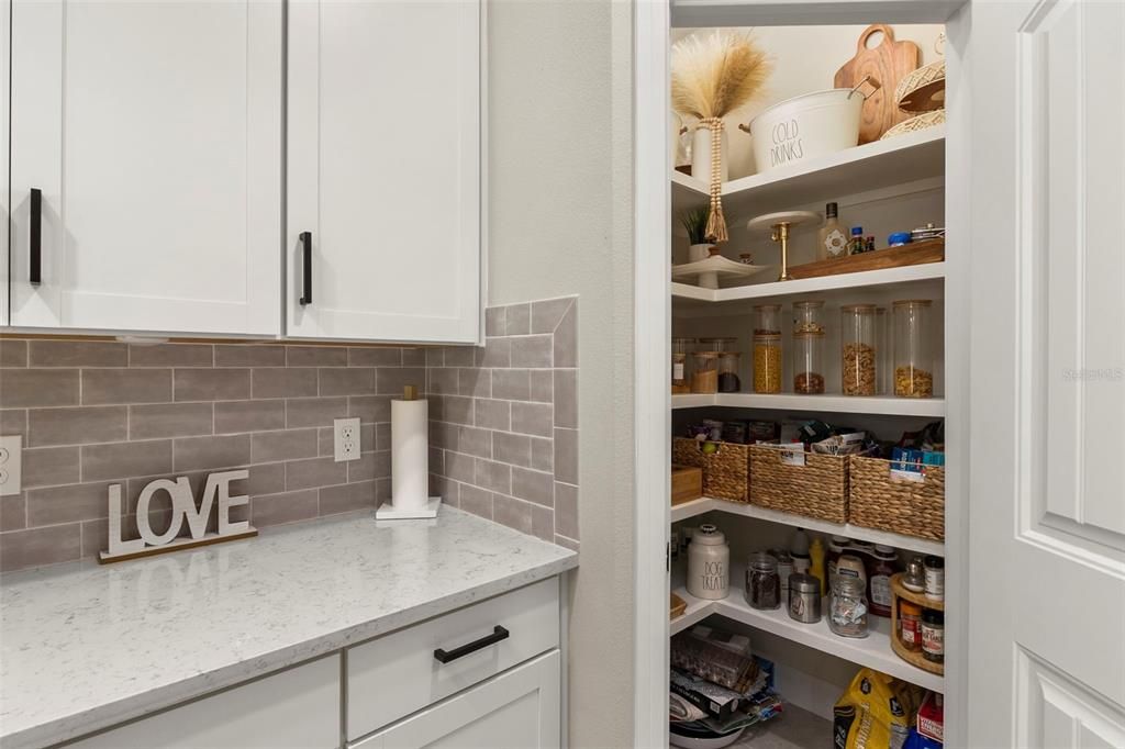 Large Pantry with wooden shelves