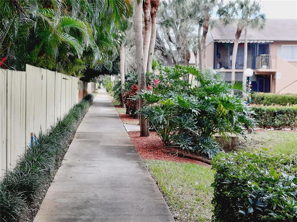 Walking paths with mature landscaping