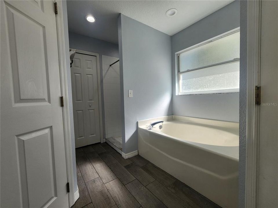 Primary Shower and Tub