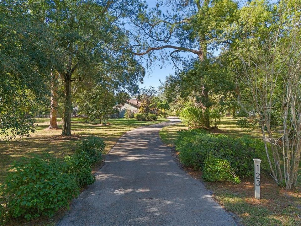 Meandering Driveway