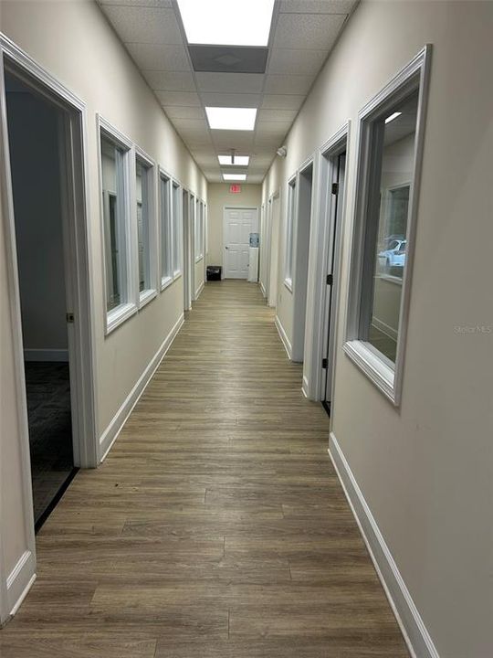 Main Hallway, with back door to exit suite.