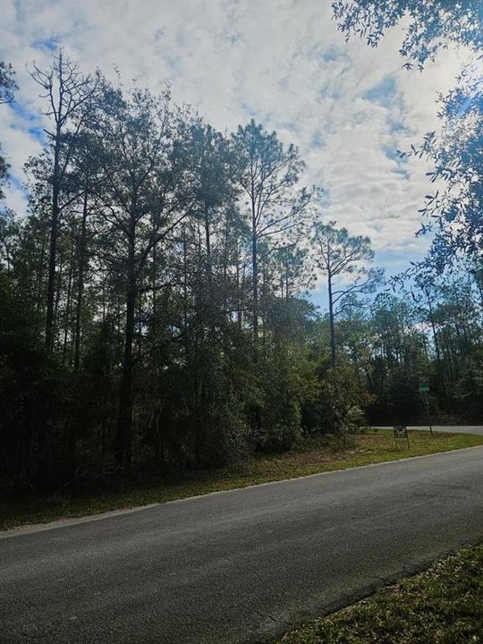 待售: $75,000 (1.21 acres)