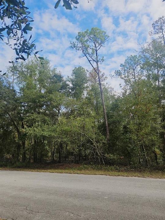 待售: $75,000 (1.21 acres)