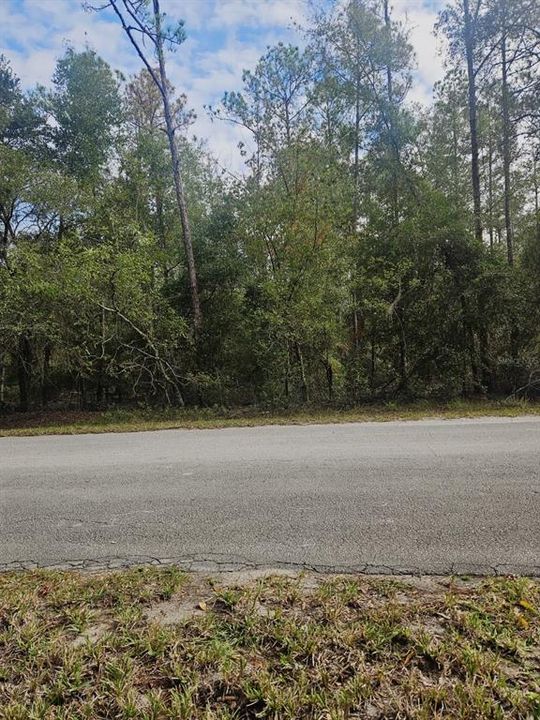 待售: $75,000 (1.21 acres)