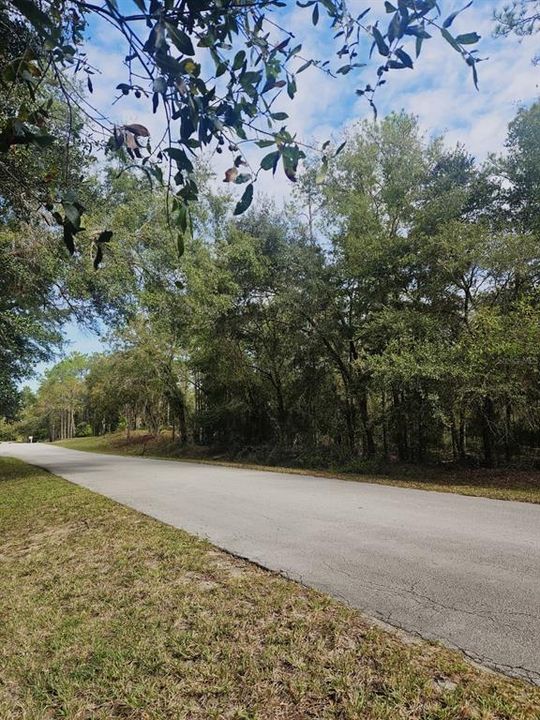 待售: $75,000 (1.21 acres)