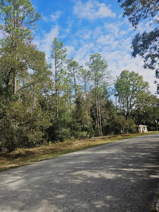 待售: $75,000 (1.21 acres)