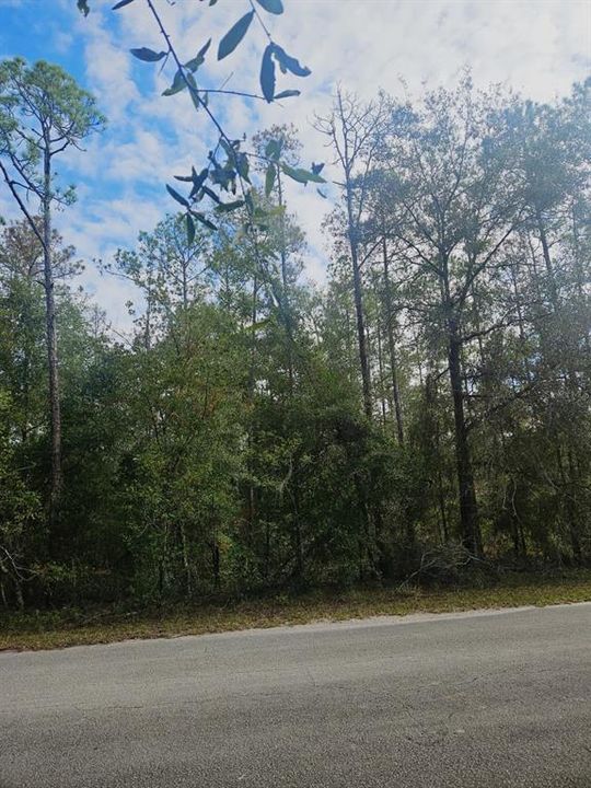 待售: $75,000 (1.21 acres)