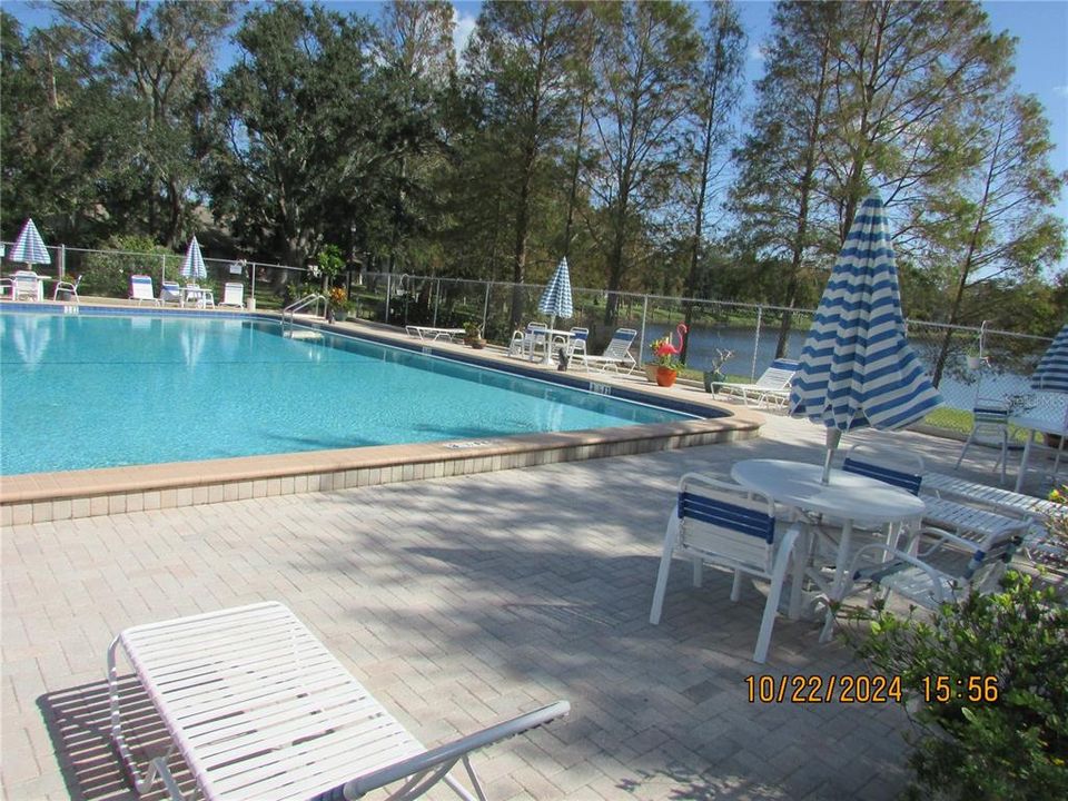 Solar heated swimming pool