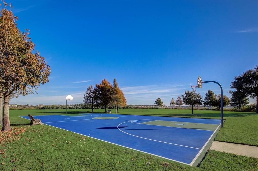 Basketball court