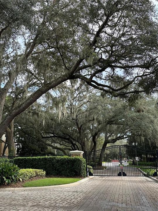 Canopy of trees as you exit the building