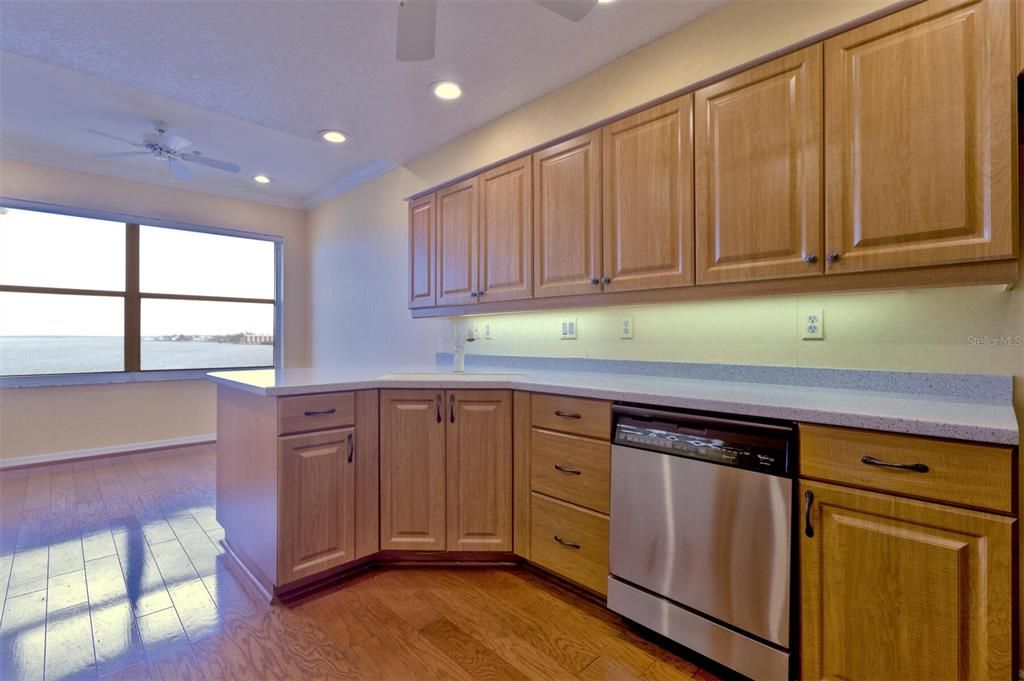 AMPLE CABINET AND COUNTER SPACE