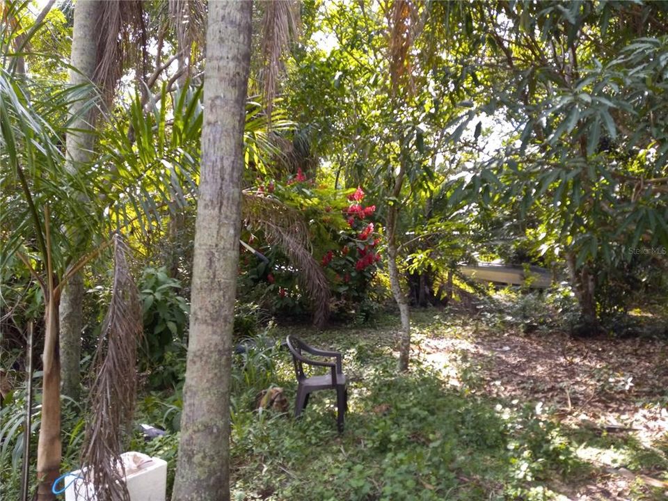 Quiet Yard With Tons Of Fruit Trees