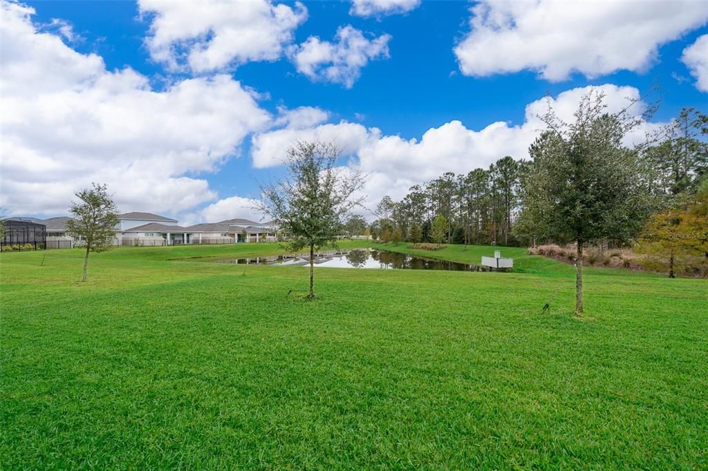 Backyard with pond and forest preserve