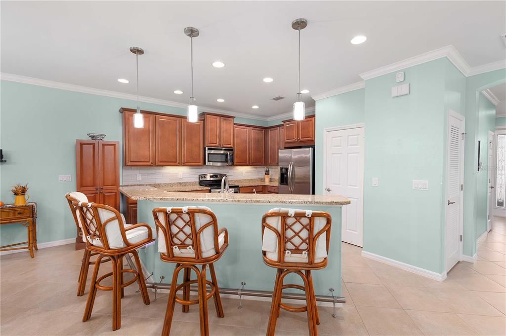 Pantry Closet and Under Cabinet Lighting