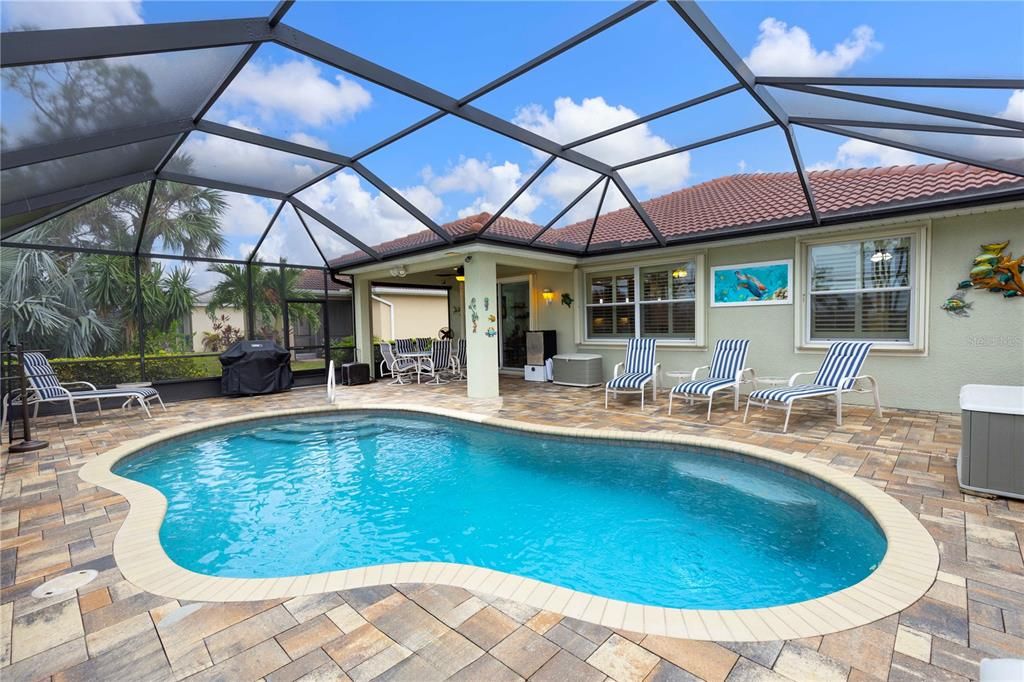 Pool Patio Area