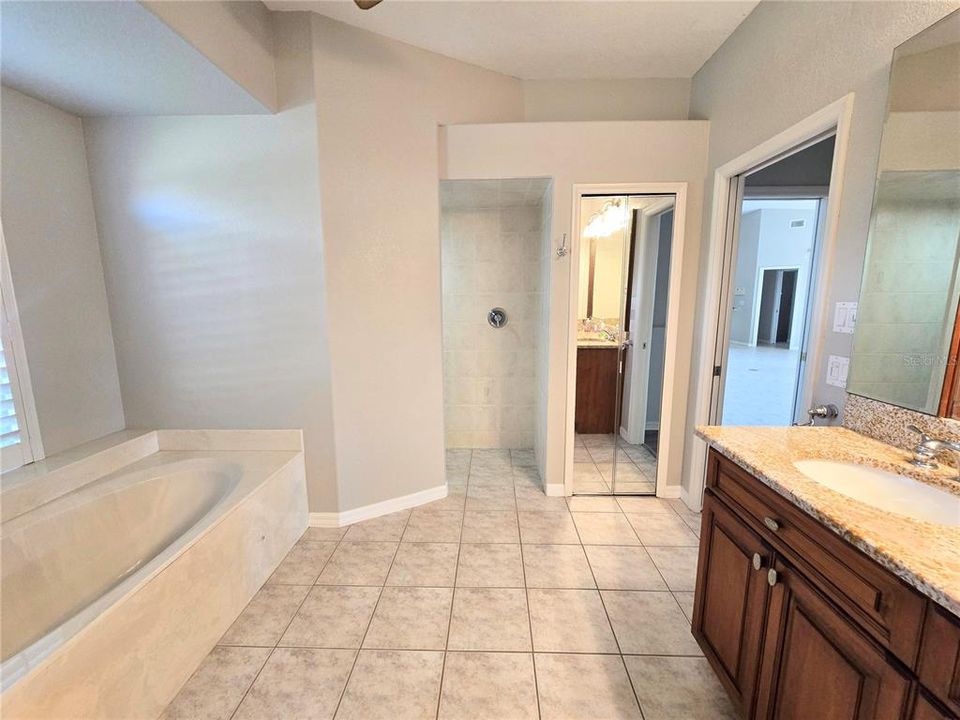 Primary Bath - Double Sinks, Tub & Walk-In Shower