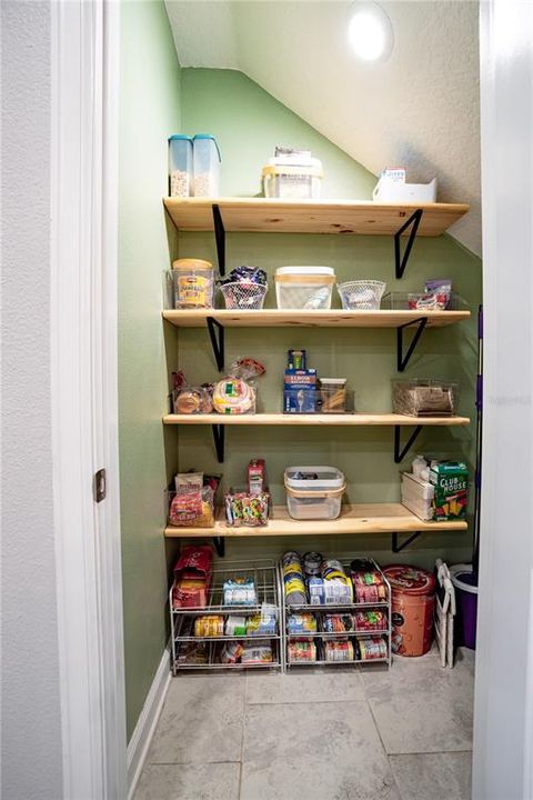 Walk-In Pantry/Under stairs storage