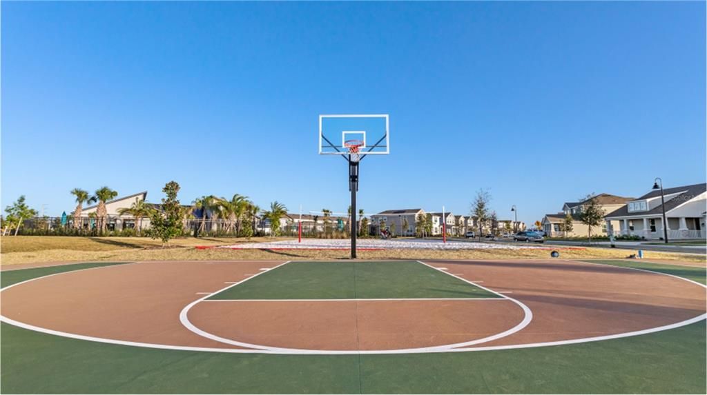 Basketball Court