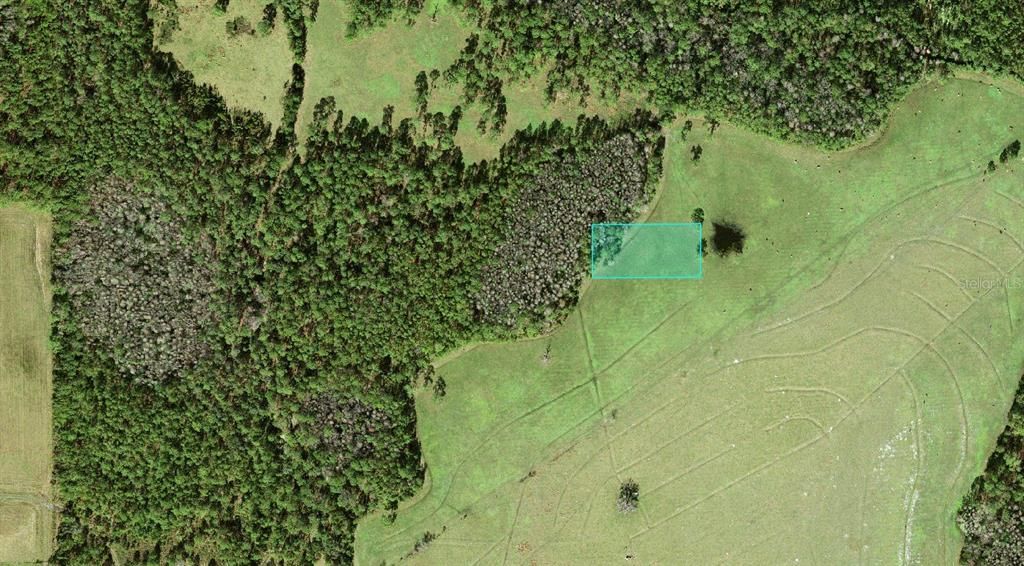 For Sale: $4,000 (1.26 acres)