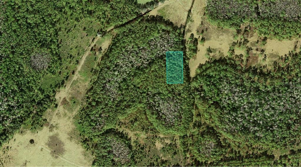 For Sale: $3,900 (1.25 acres)