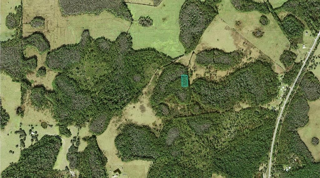 For Sale: $3,900 (1.25 acres)